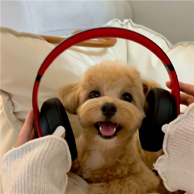 ai写作免费网站--人工智能助力,探索AI写作免费网站的可能性